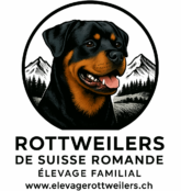 Elevage Rottweiler